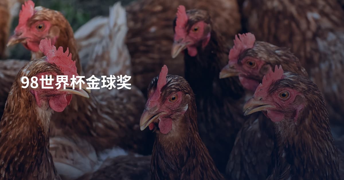 98世界杯金球奖