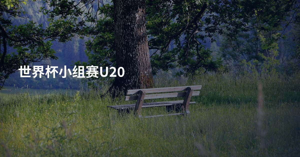 世界杯小组赛U20
