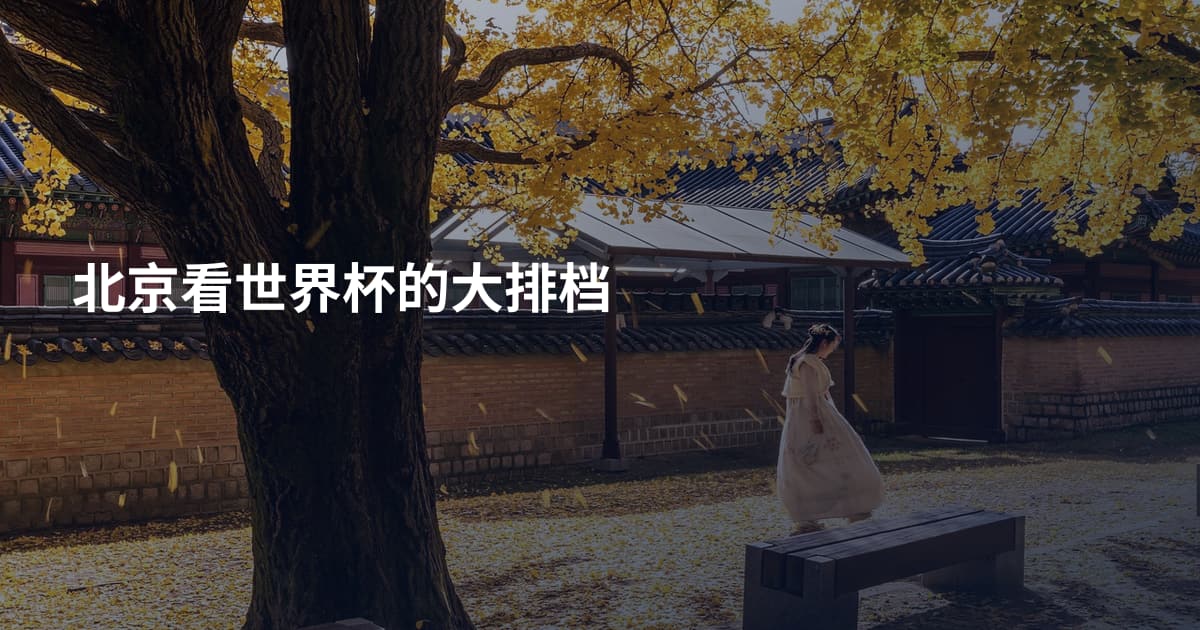 北京看世界杯的大排档