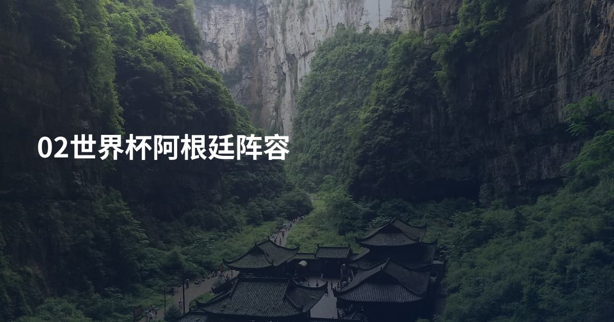 02世界杯阿根廷阵容