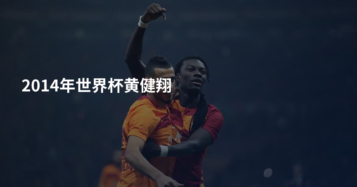 2014年世界杯黄健翔