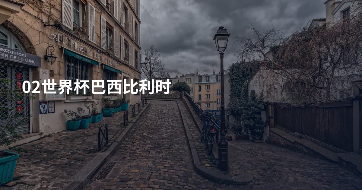 02世界杯巴西比利时