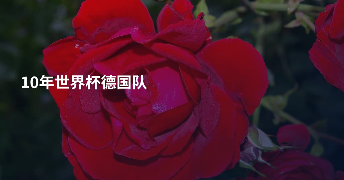 10年世界杯德国队