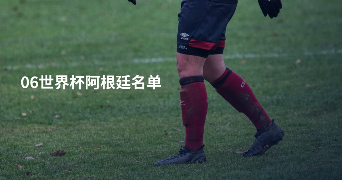 06世界杯阿根廷名单