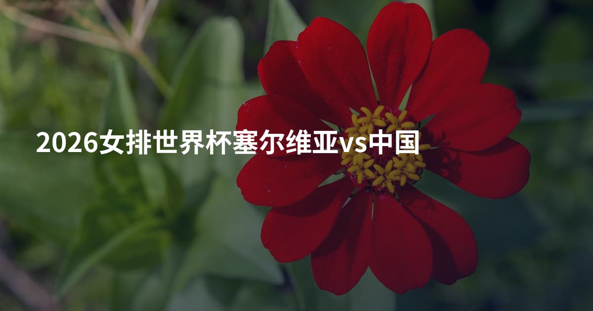 2026女排世界杯塞尔维亚vs中国