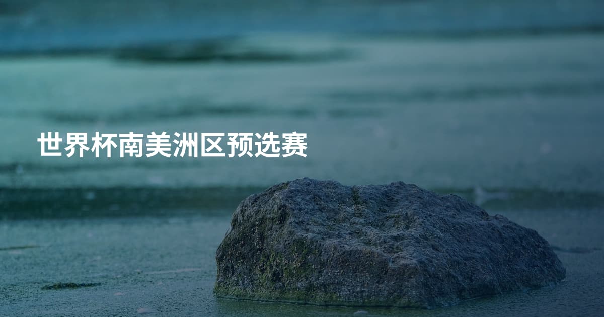 世界杯南美洲区预选赛