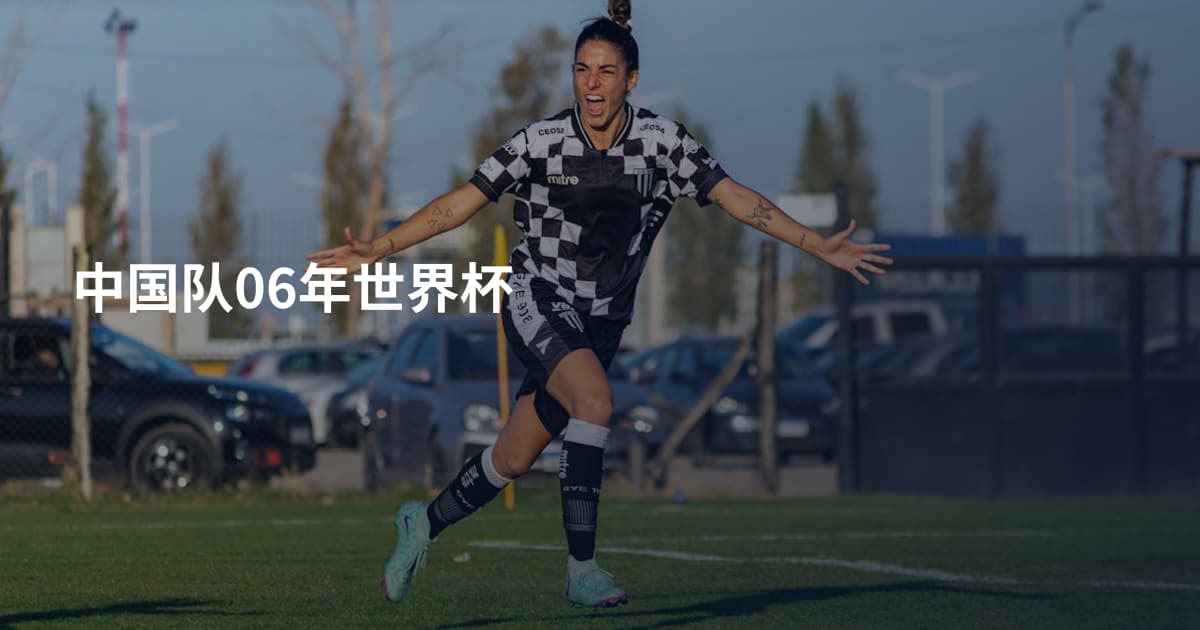 中国队06年世界杯