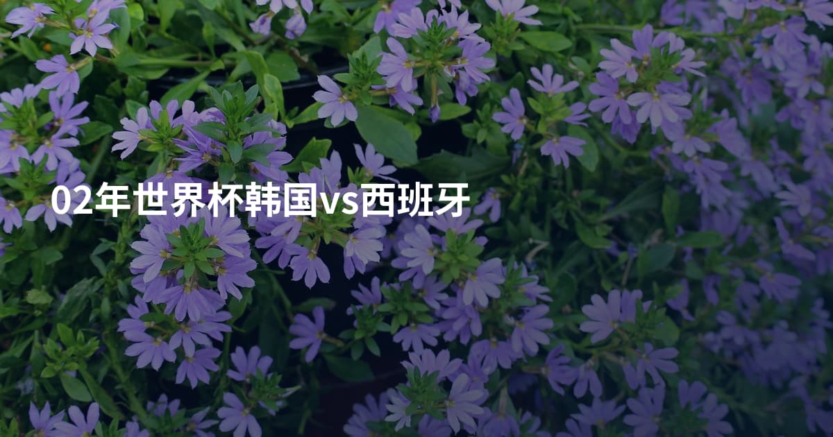 02年世界杯韩国vs西班牙