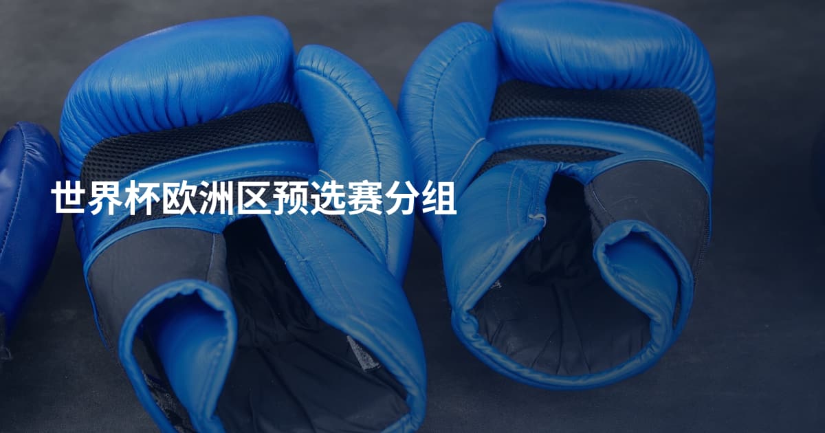 世界杯欧洲区预选赛分组