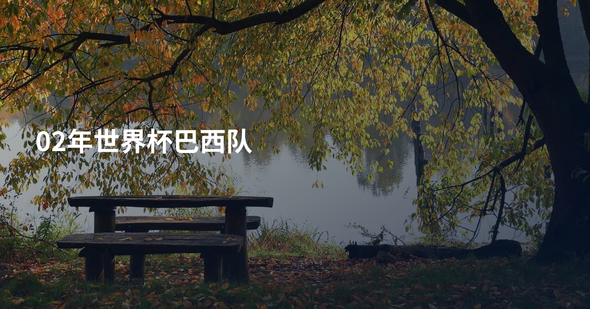 02年世界杯巴西队