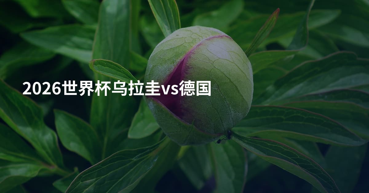 2026世界杯乌拉圭vs德国
