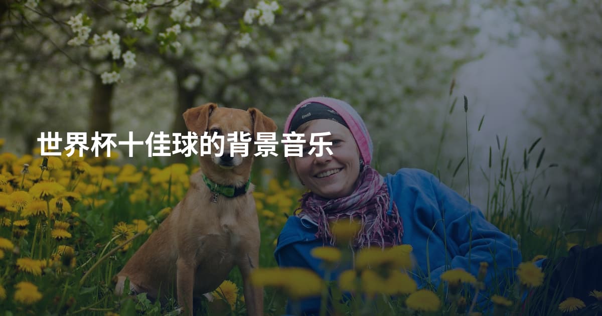 世界杯十佳球的背景音乐