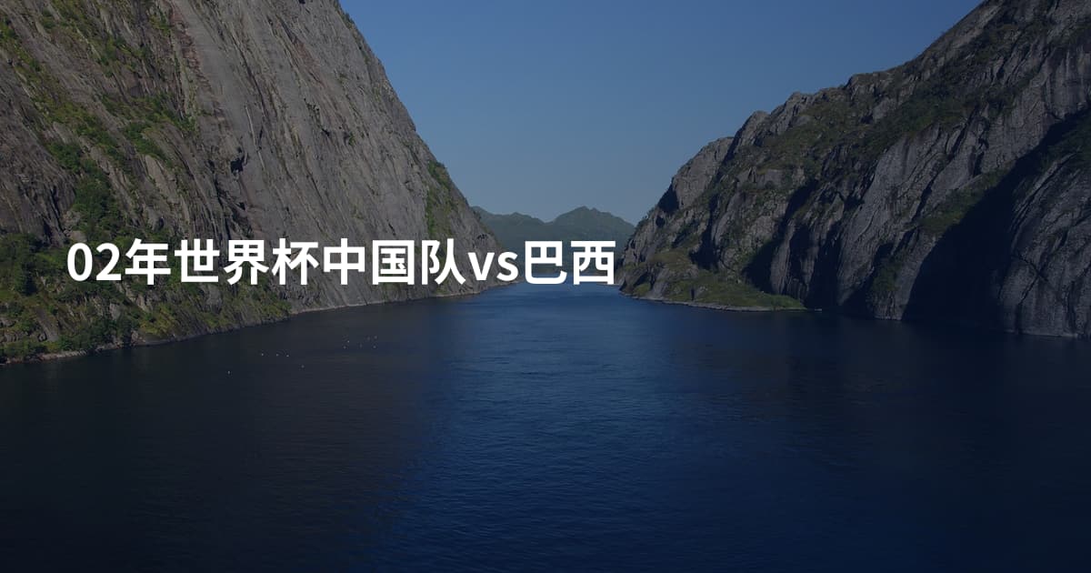 02年世界杯中国队vs巴西