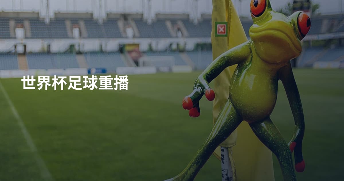 世界杯足球重播