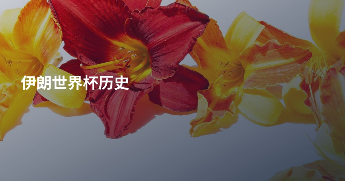 伊朗世界杯历史
