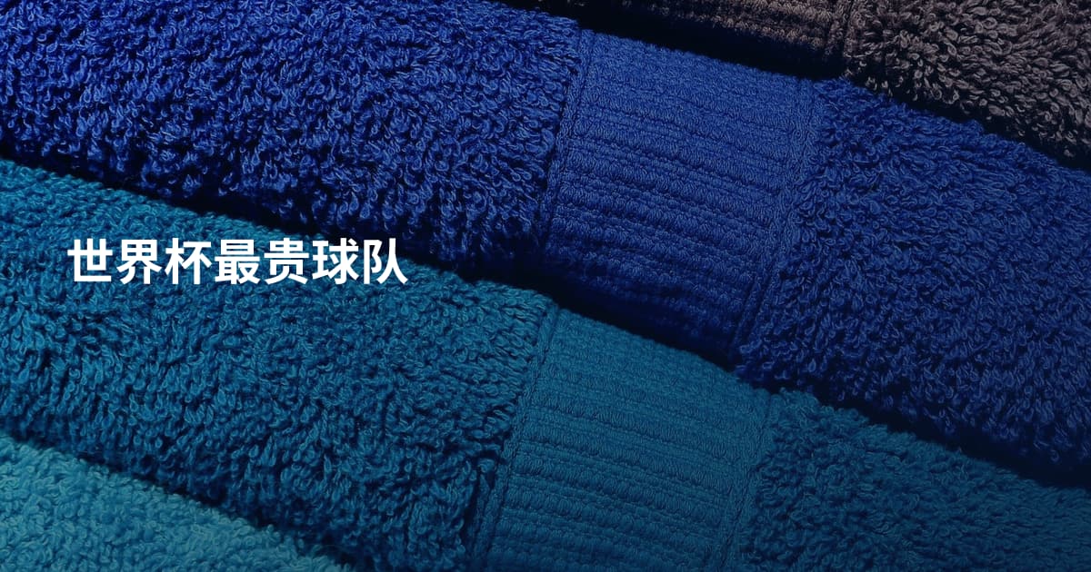 世界杯最贵球队
