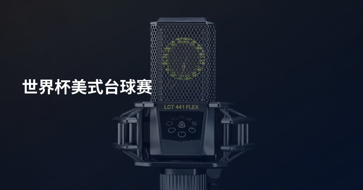 世界杯美式台球赛