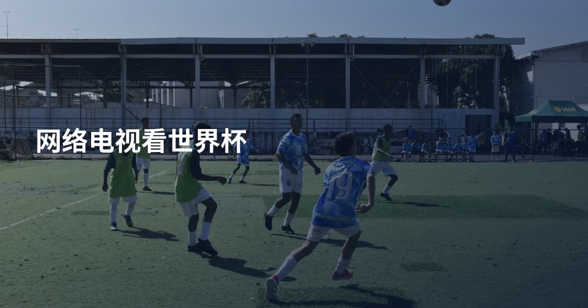 网络电视看世界杯