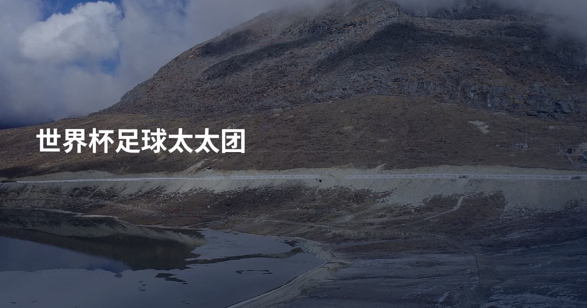 世界杯足球太太团