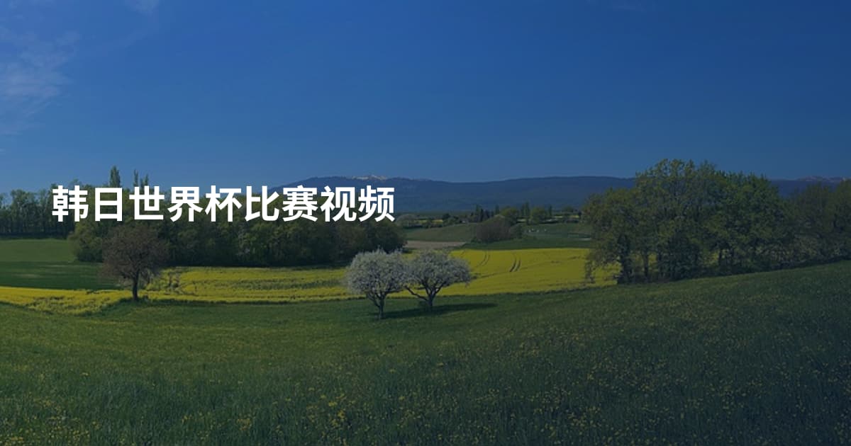 韩日世界杯比赛视频