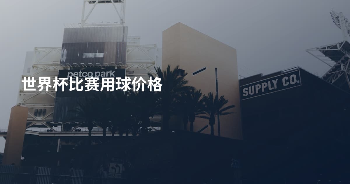 世界杯比赛用球价格