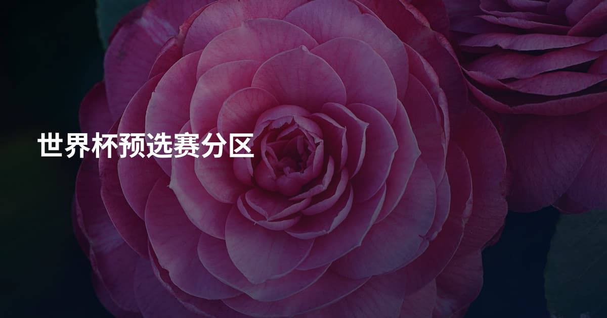 世界杯预选赛分区