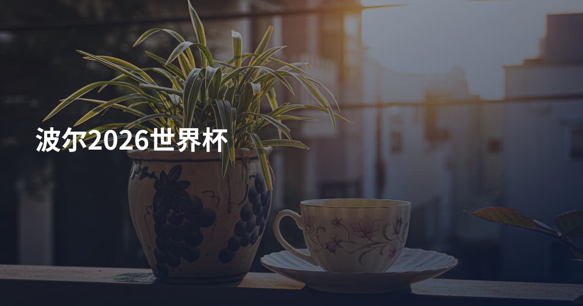 波尔2026世界杯