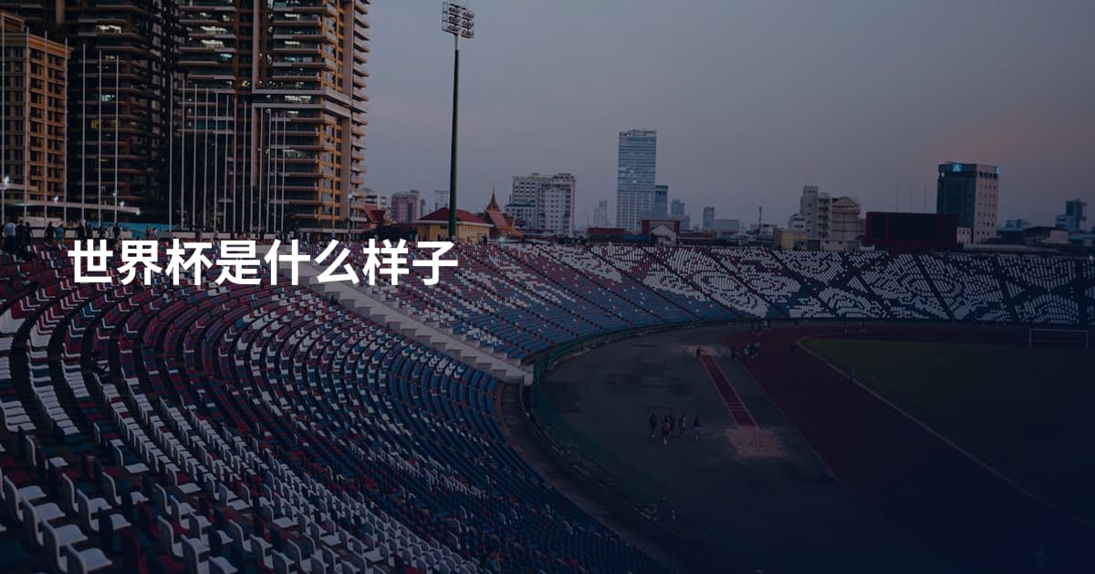 世界杯是什么样子