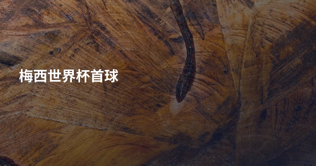 梅西世界杯首球