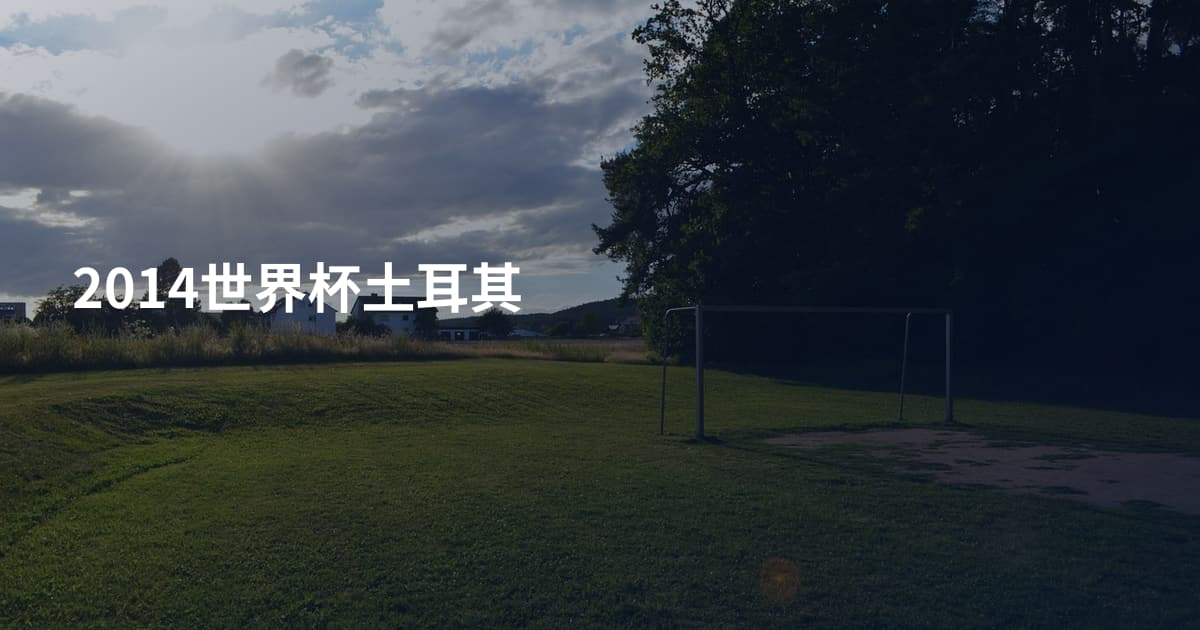 2014世界杯土耳其