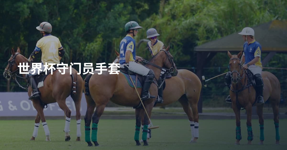 世界杯守门员手套