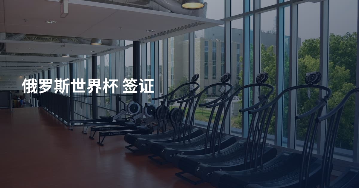 俄罗斯世界杯 签证