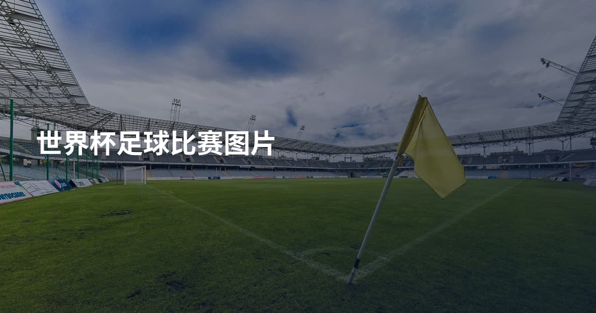 世界杯足球比赛图片