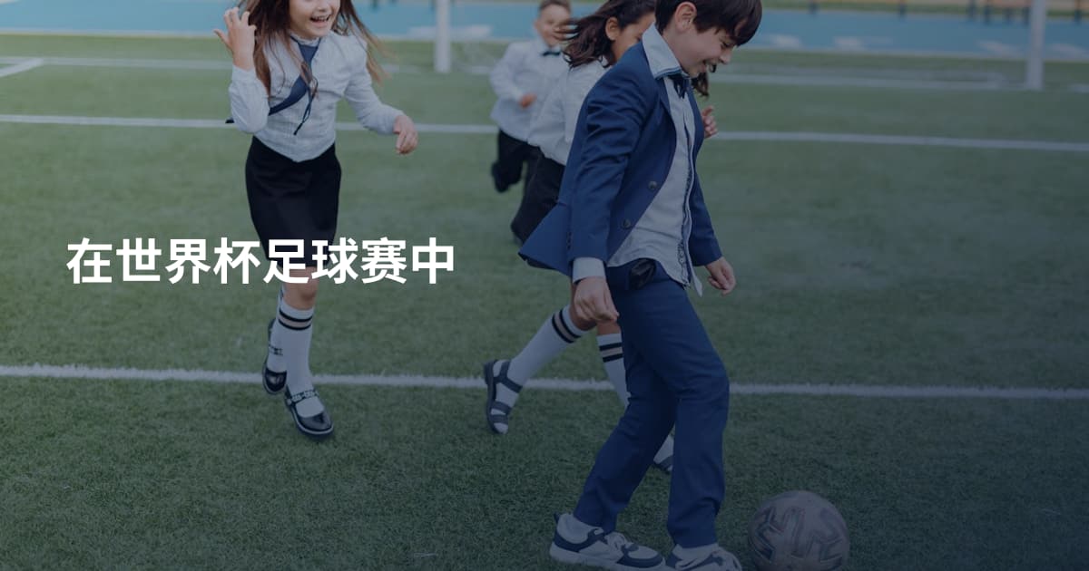 在世界杯足球赛中