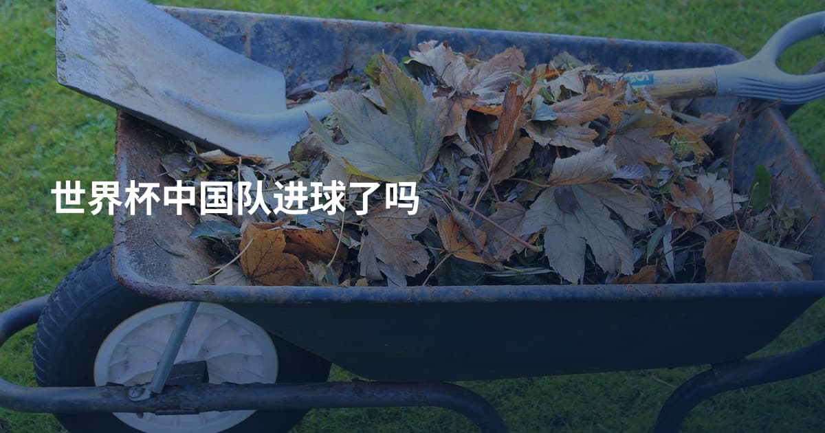 世界杯中国队进球了吗