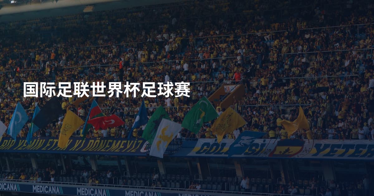 国际足联世界杯足球赛