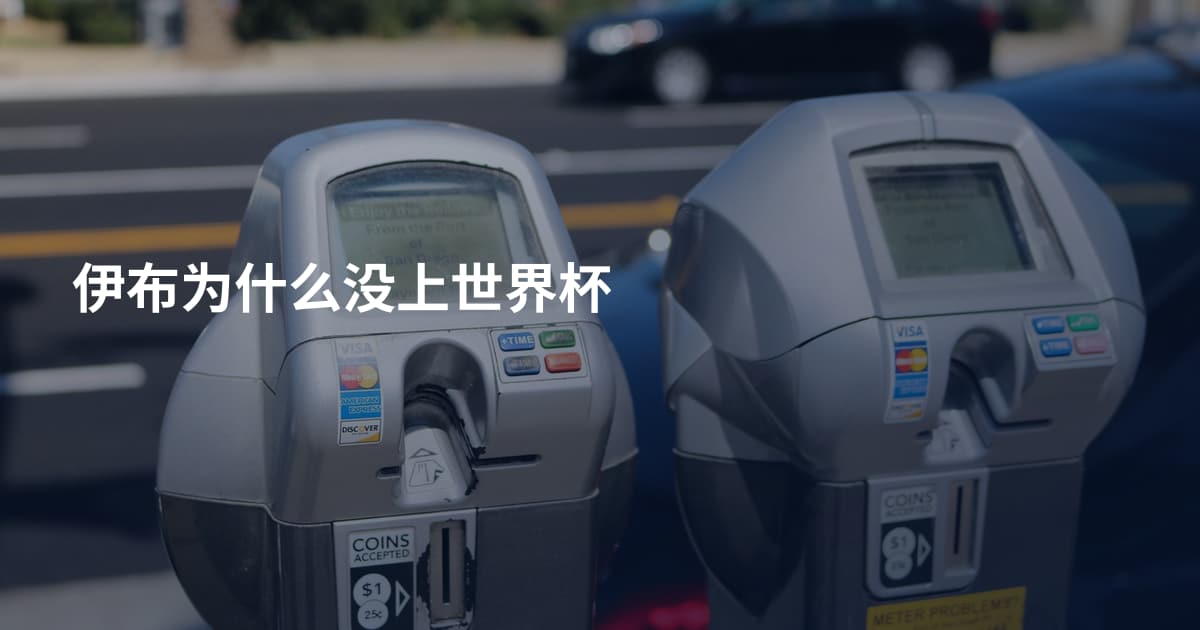 伊布为什么没上世界杯