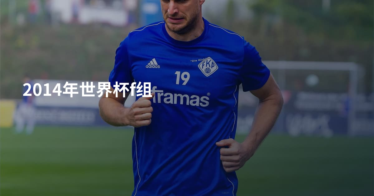 2014年世界杯f组