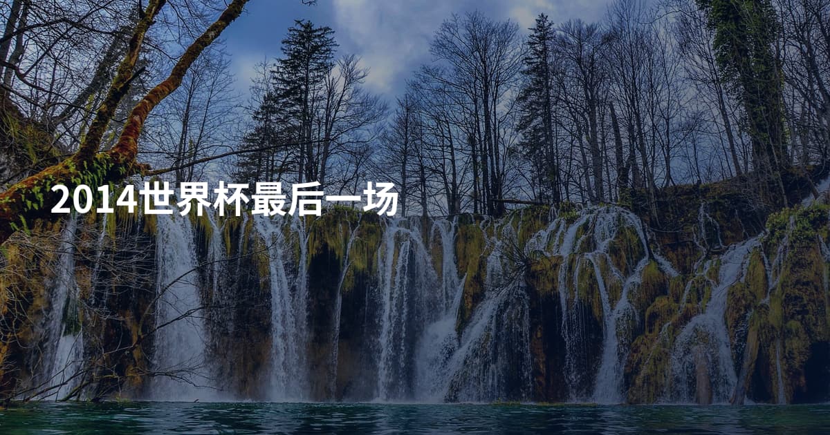 2014世界杯最后一场