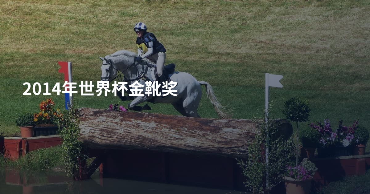 2014年世界杯金靴奖