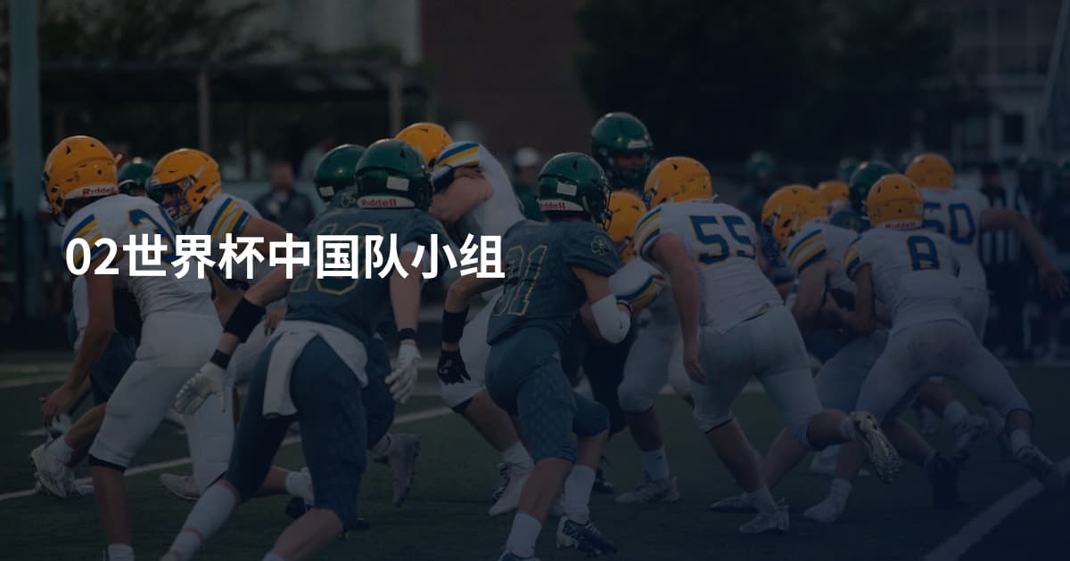02世界杯中国队小组