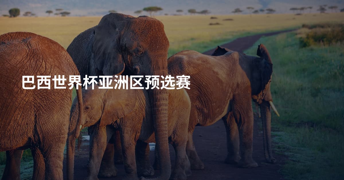 巴西世界杯亚洲区预选赛
