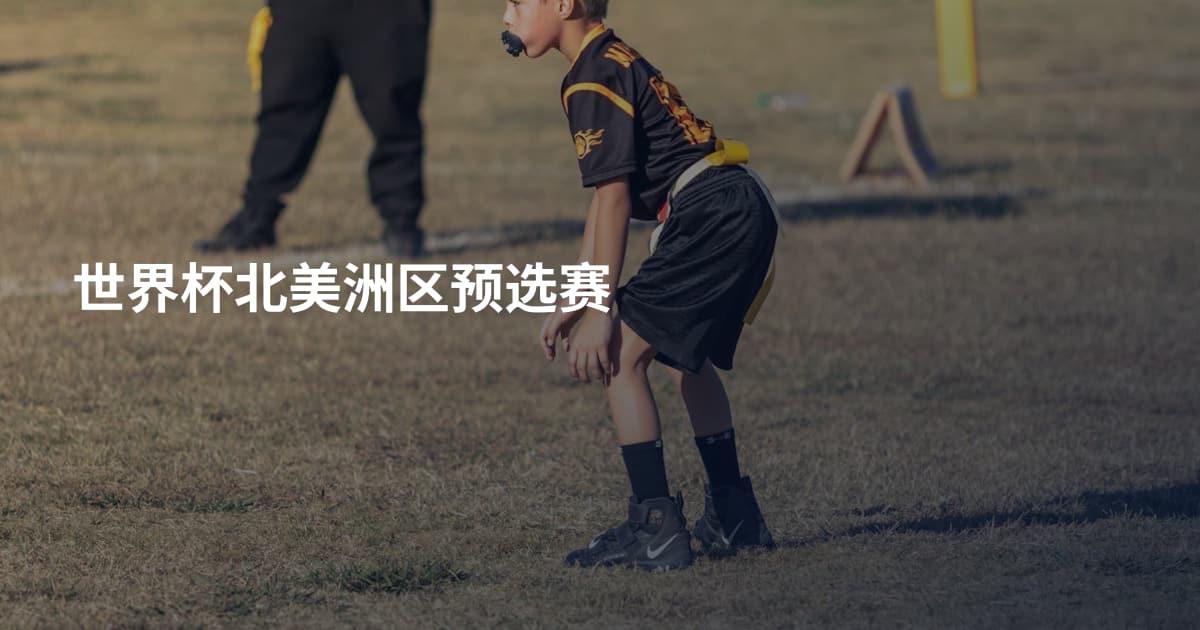世界杯北美洲区预选赛