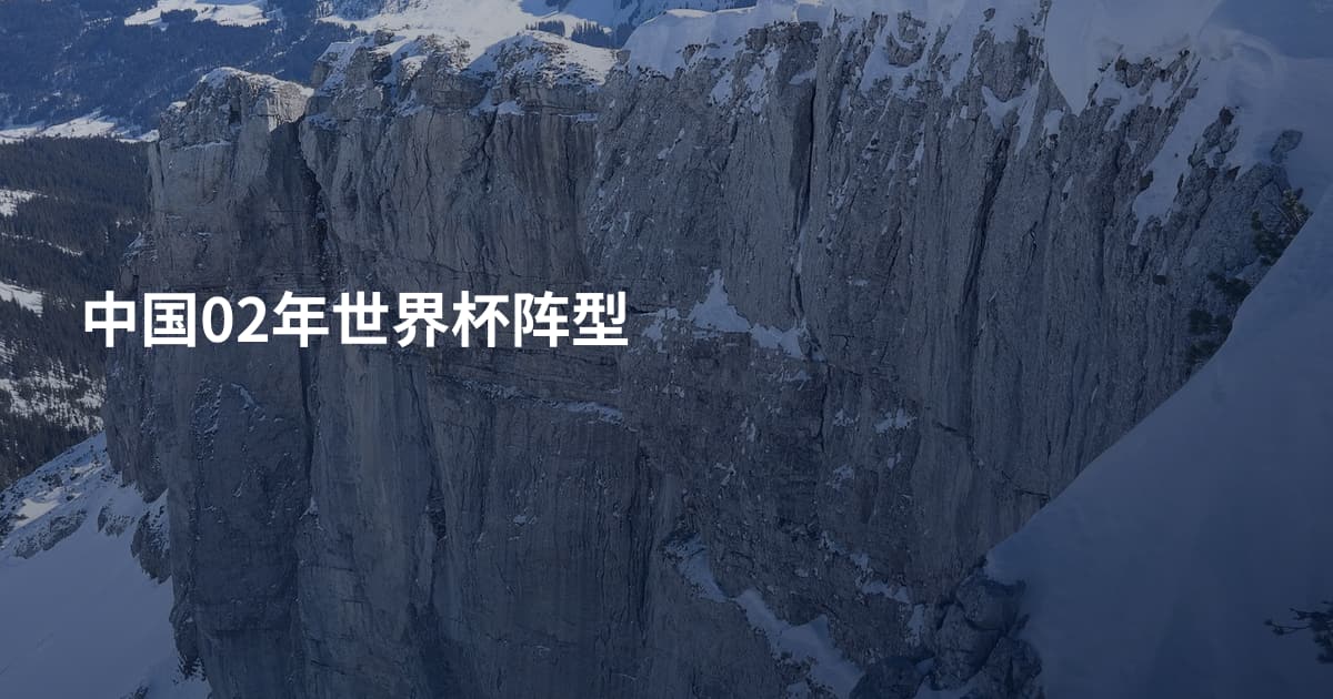 中国02年世界杯阵型