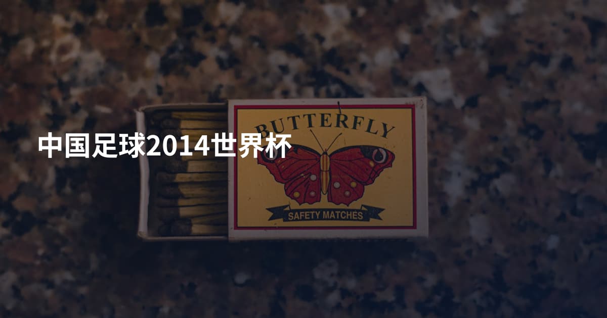 中国足球2014世界杯