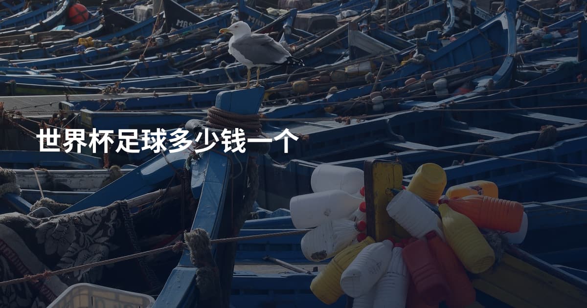 世界杯足球多少钱一个