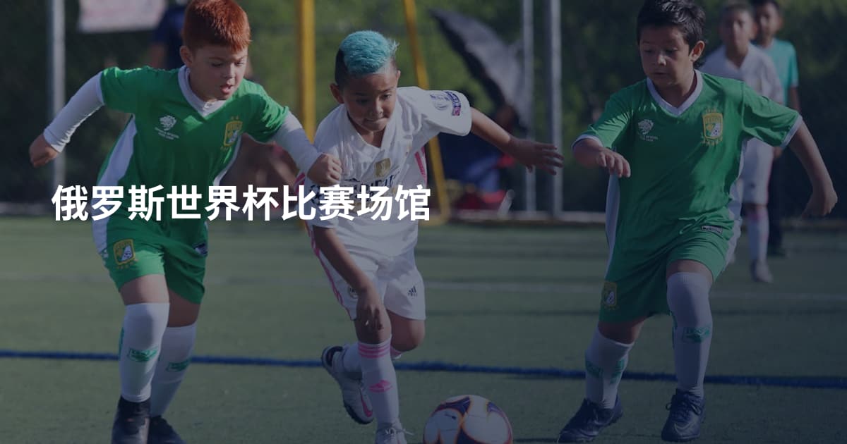 俄罗斯世界杯比赛场馆