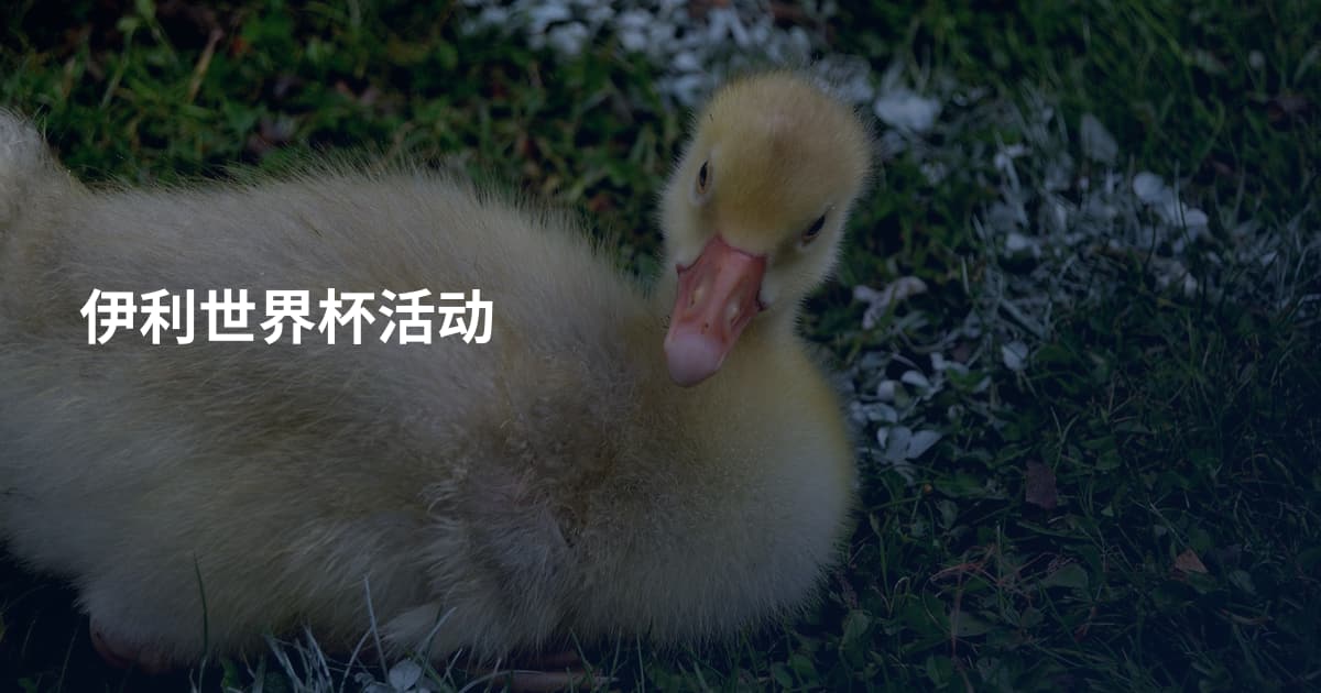 伊利世界杯活动