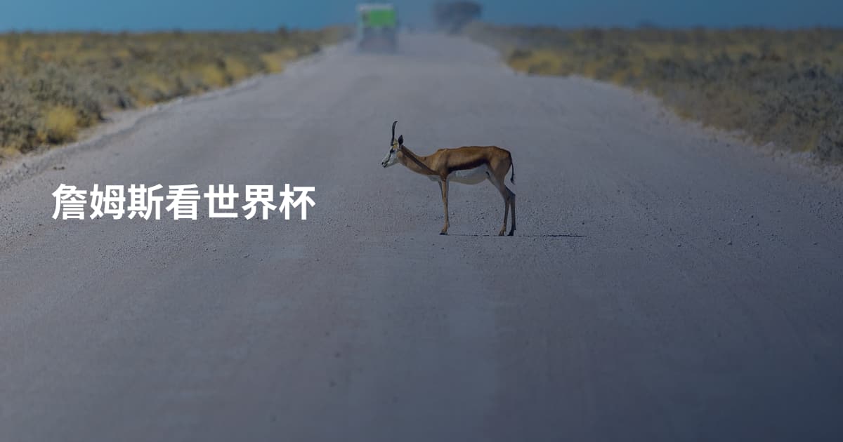 詹姆斯看世界杯