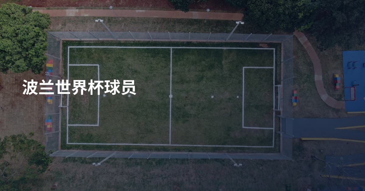 波兰世界杯球员
